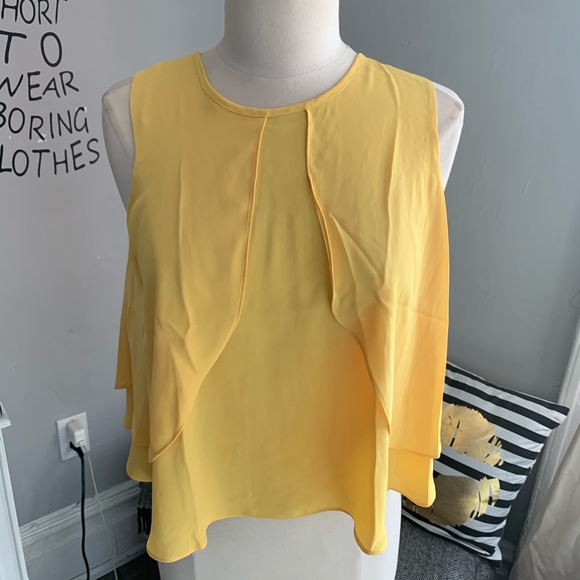 Zara// sleeveless blouse size small - Picture 5 of 14